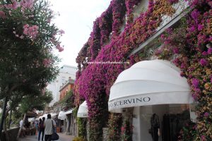 Floral lanes of Capri