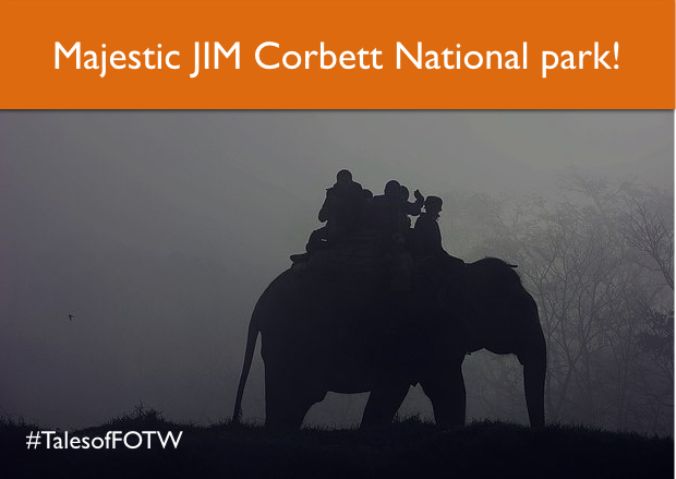 Jim Corbett National Park