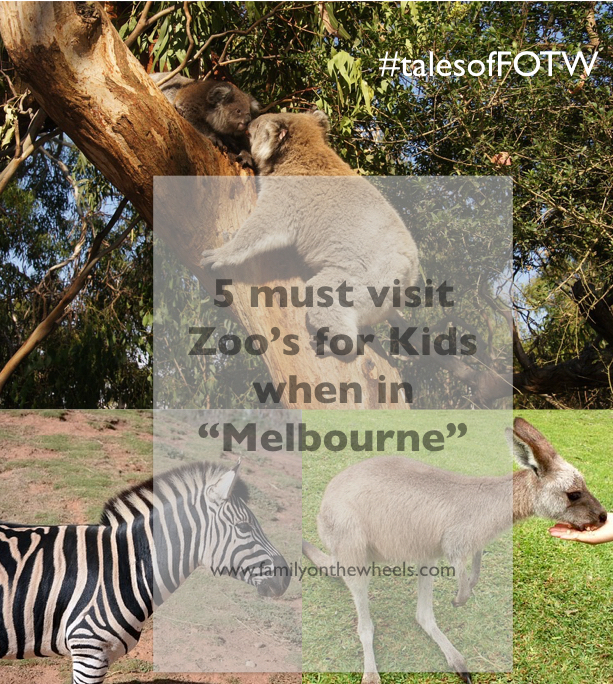 Melbourne Zoo for kids