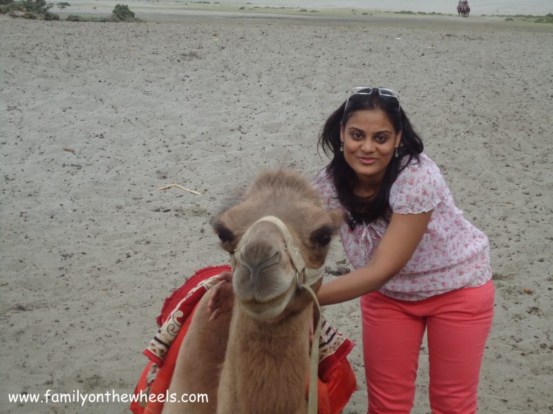 Nubra Camel ride