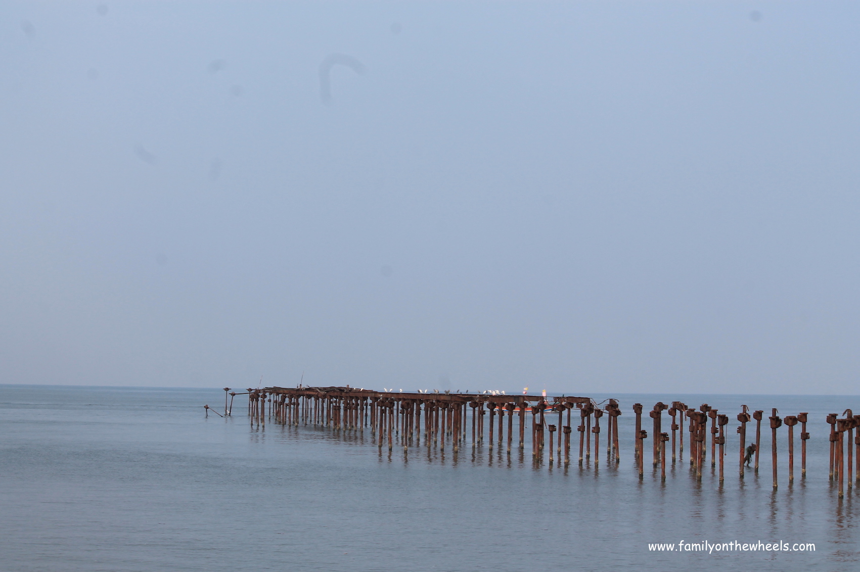 Alappuzha beach view - #canals #Kerala #alleppey #backwaters #keralabackwaters #sunset #beaches #naturelover #sun