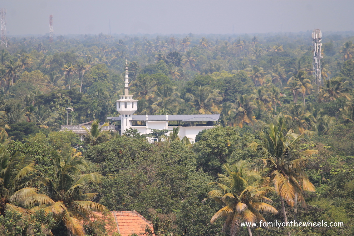 View from Alappuzha lighthouse - #canals #Kerala #alleppey #backwaters #keralabackwaters #sunset #beaches #naturelover #sun #lighthouse