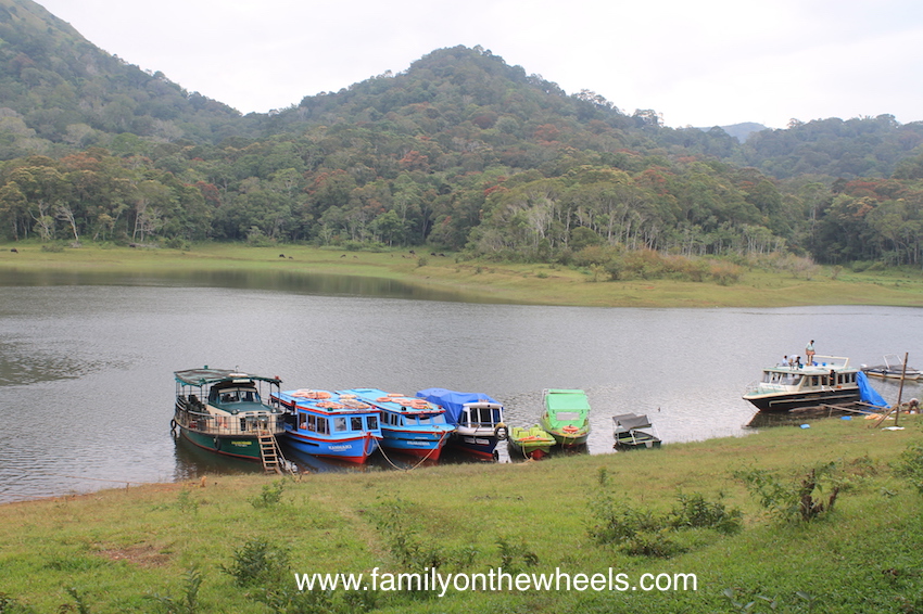 Planning a trip to Kerala this season? Include Thekkady or Periyar, famous for Periyar National Park and Periyar Tier Reserve to witness some amazing landscapes and beauty hidden in this dense forest. To make it adventurous, read here. #thekkady #kerala #periyar #tigerreserve #reserve #nationalpark #sanctuary #landscape #nature