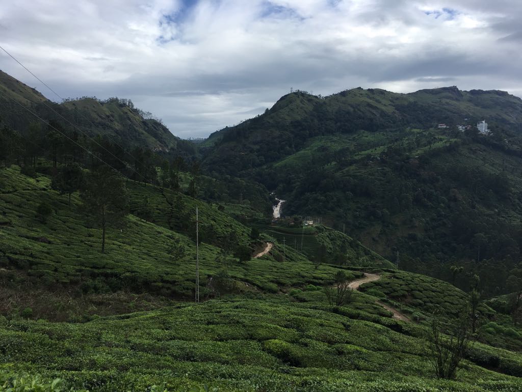 A Travel guide for Rajamalai National Park , Eravikulam National Park, Munnar, kerala by family travel bloggers