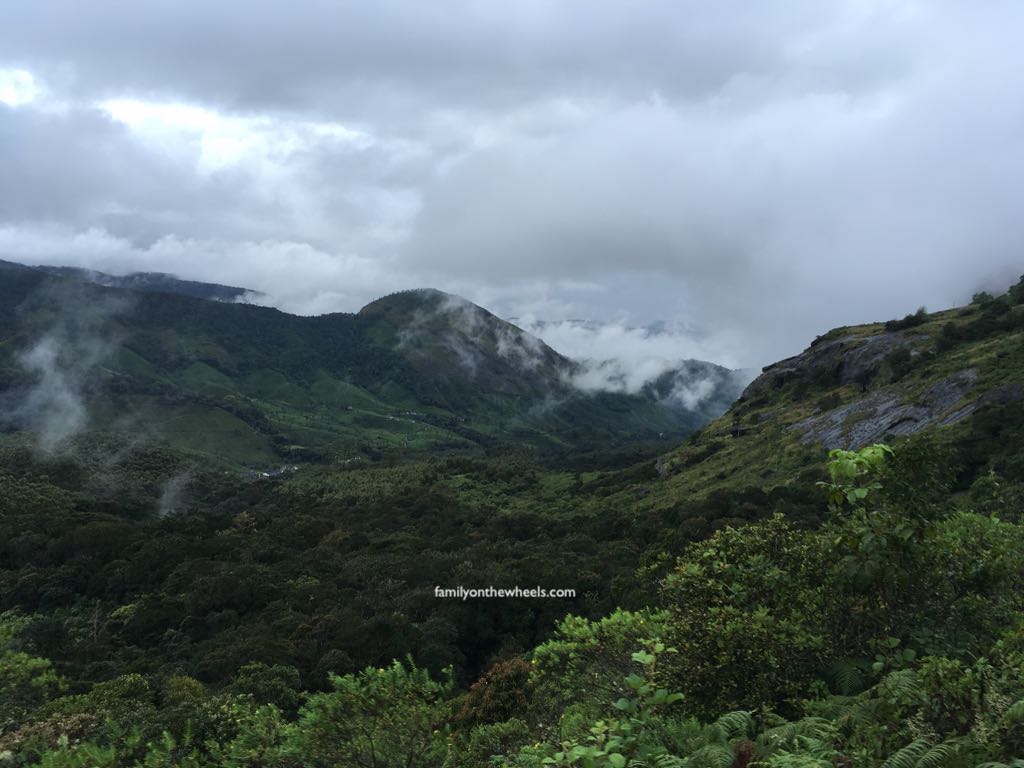 A Travel guide for Rajamalai National Park , Eravikulam National Park, Munnar, kerala by family travel bloggers