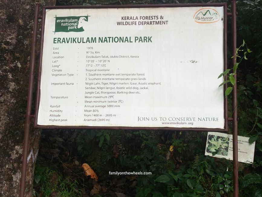 A Travel guide for Rajamalai National Park , Eravikulam National Park, Munnar, kerala by family travel bloggers