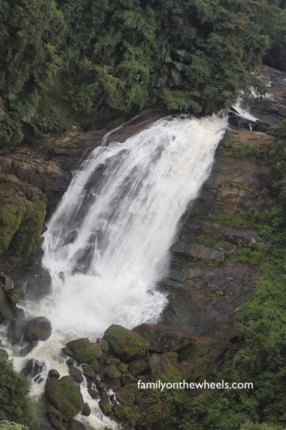 Munnar and its Tea gardens! Munnar, the most beautiful hill station of Kerala, is all about Rolling Tea gardens, Ayurvedic spa's, waterfalls, Pristine nature, Spices, and spotting Elephants. Close to 130kms from airport city Cochin, read our travel tale to Kerala, Munnar