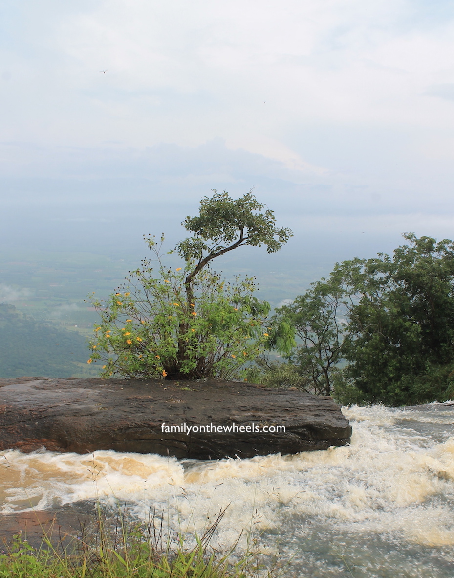 Chellarkovil waterfalls and view point, near thekkady and Munnar, kerala