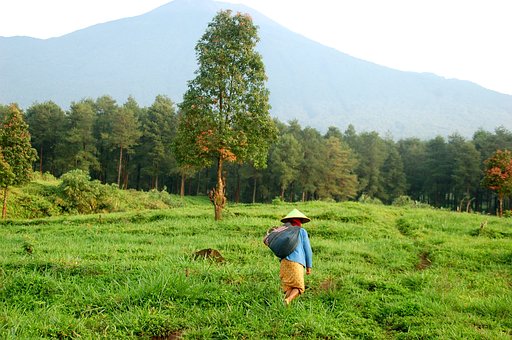 On eof the amazing destination for family travels is Bali, Indonesia. Read more #bali #indonesia #heritage #culture #pottery #familytravel #trekking