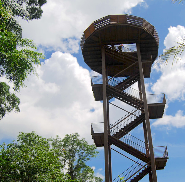 Are you a nature & adventure lover travelling Singapore? If yes, then Pulau Ubin is a Nature's paradise which one cannot miss to find tranquility amidst the fast pace of life. You can trek in the lush green forests, visit quarries and beaches, bicycle and explore marine life. #pulauubin #island #singapore #familytravel #marinelife #naturepark #trekking #jejawi tower