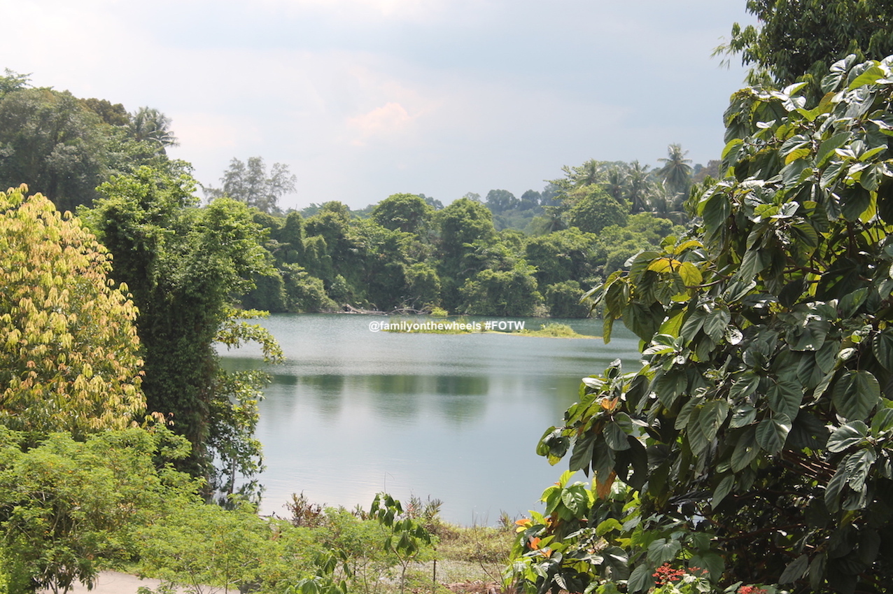 Are you a nature & adventure lover travelling Singapore? If yes, then Pulau Ubin is a Nature's paradise which one cannot miss to find tranquility amidst the fast pace of life. You can trek in the lush green forests, visit quarries and beaches, bicycle and explore marine life. #pulauubin #island #singapore #familytravel #marinelife #naturepark #trekking #quarry
