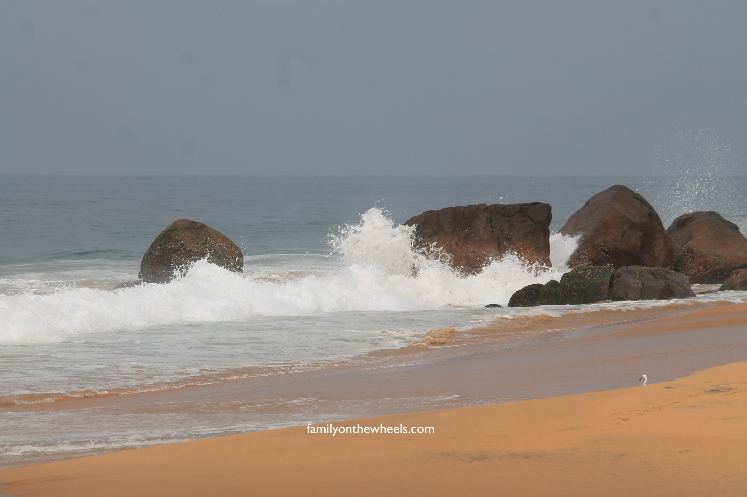 If you are at kerala, never forget to explore the mesmerizing and sunkissed Kovalam beaches, quite close to Trivandrum and easily accessible. Witnessing the best sunset over the beaches #sunset #beach #beachlove #kerala #trivandrum #kovalam #familytravel #travelbloggers