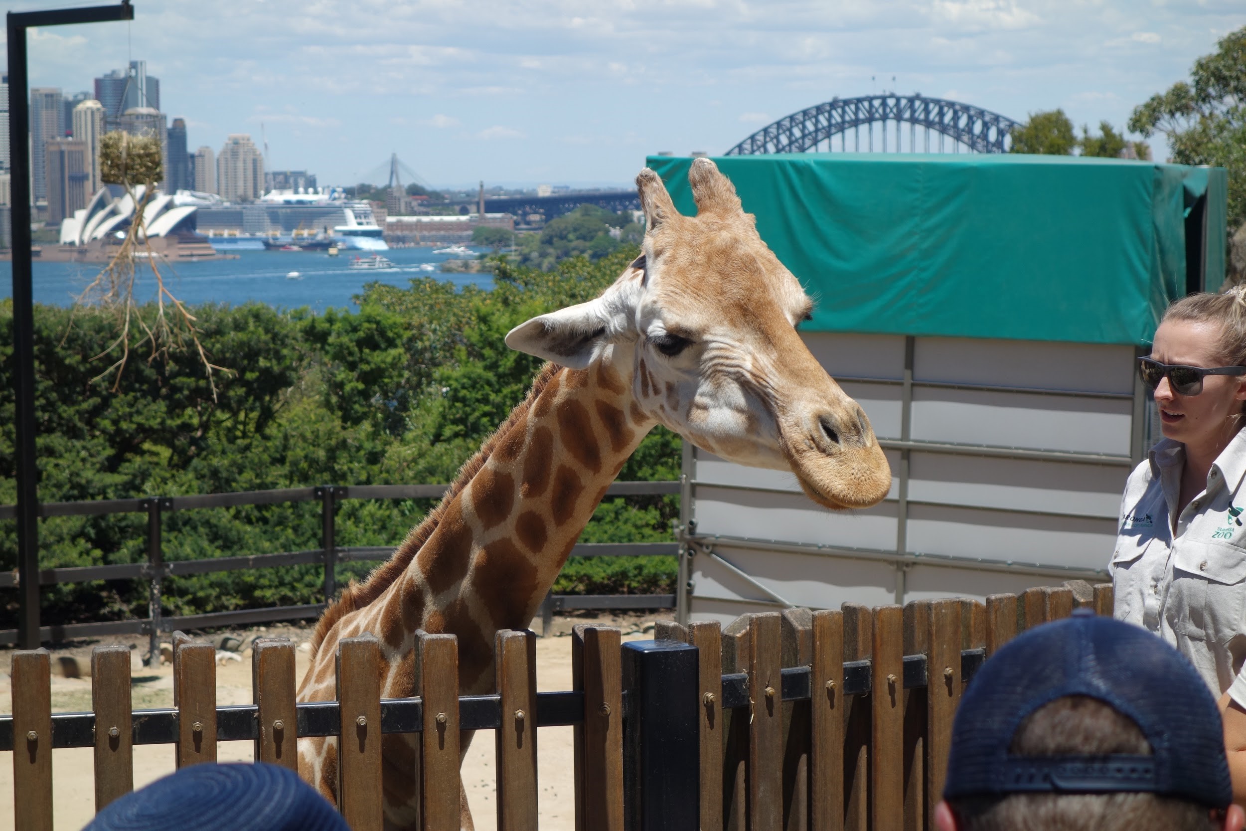 sydney zoo