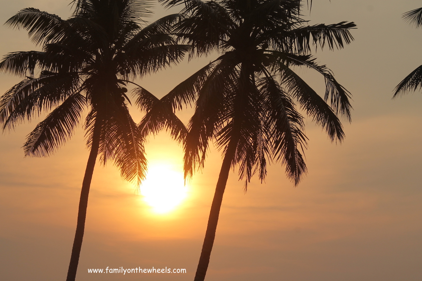 Gorgeous sunset over the backwaters in kerala. #canals #Kerala #alleppey #backwaters #keralabackwaters #sunset #beaches #naturelover #sun