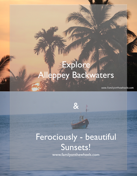 Explore the beauty of Kerala, Alleppey Backwaters with team familyonthewheels. Get to know the tips about houseboats, what all to do once you land in Alleppey. #Kerala #alleppey #backwaters #keralabackwaters #sunset #beaches #naturelover #sun
