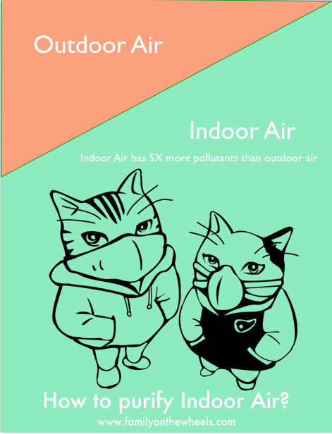 Did you know that Indoor Air can be 5 times more dangerous than outside air? How to purify Indoor Air? Read some cost effective solutions by Breathefresh. #indoorair #pollution #airpurifying #arpurifier #vayubag #organic #ecofriendly #breathefresh