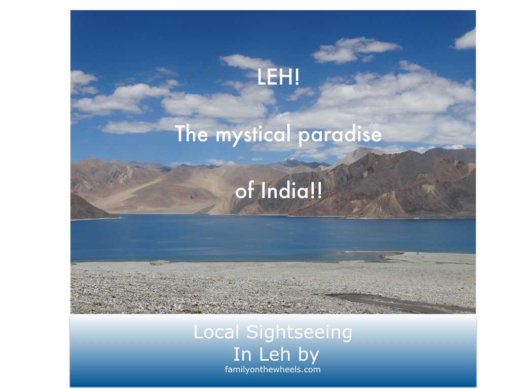 Leh, the most mystical and magical place of India. This post caters to our Local SIghseeing day in Leh, Ladhak. Read more to know what all to explore in Leh #Leh #Ladhak #local #market #sightseeing #pangong #nubra #India #traveltales #FOTW