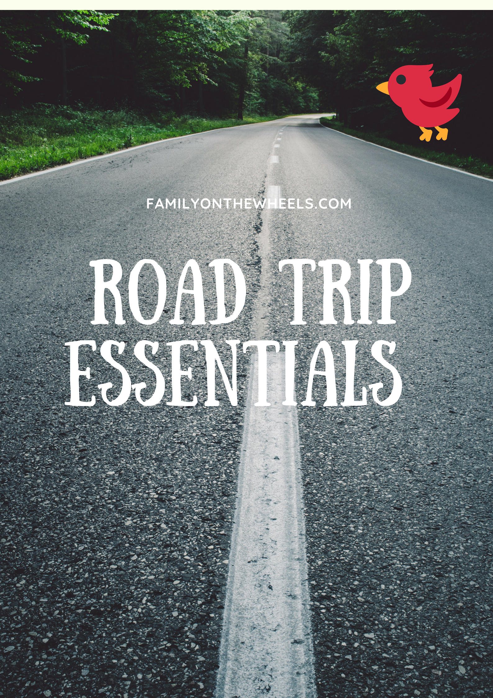 Road Trip essentials for us, we are travel addicts and road trips are what we love. Be it by car or bikes, world has always greeted us with open arms. Come check out why we love our Roadtrip travel essentials. #travelessentials #roadtrip #essentials #dashcam #travelgram