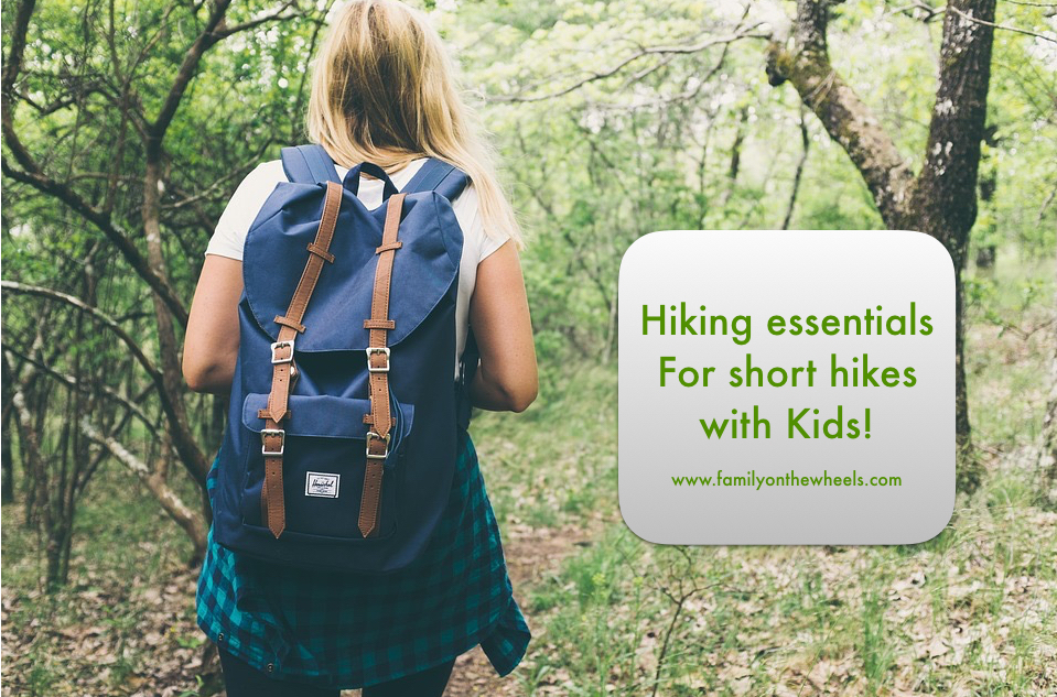 Are you planning to do a short hike with kids? Is it the first time? Then you need to know about some hiking essentials to help you throughout with kids. #hiking #trailrunners #runningshoes #homeshop18 #shoes #trekking 