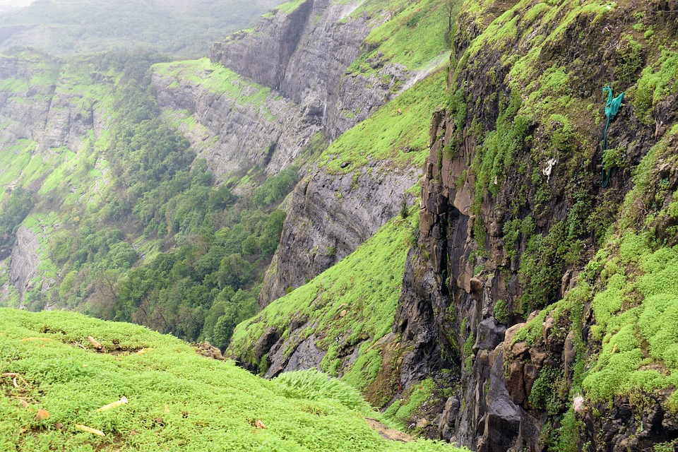 Best Places to visit near Lonavala in Monsoon. Lonavala is a place which shouldn't be missed during monsoons. The lush green carpet, gushing waterfalls, make this place absolute bliss. Here are the places you must visit in Lonavala. #Lonavala #placesinlonavala #oyoroom #Khandala #naturelovers #waterfalls #forts #maharashtra #travellovers #incredibleindia #pune